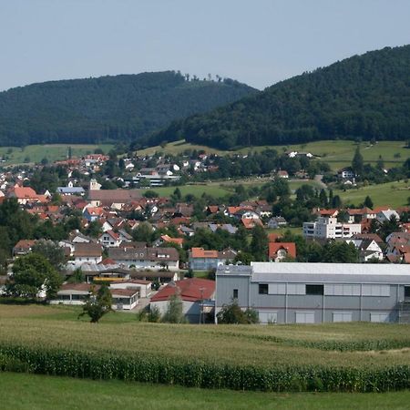 Ferienwohnung Seelbach  Kültér fotó