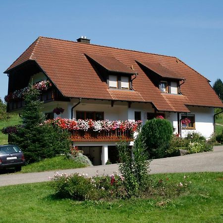 Ferienwohnung Seelbach  Kültér fotó