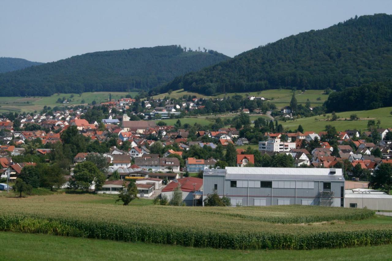 Ferienwohnung Seelbach  Kültér fotó