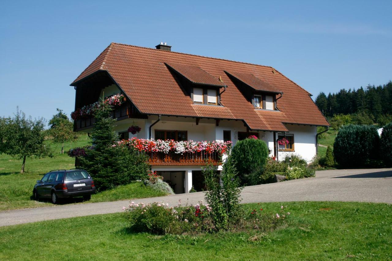 Ferienwohnung Seelbach  Kültér fotó