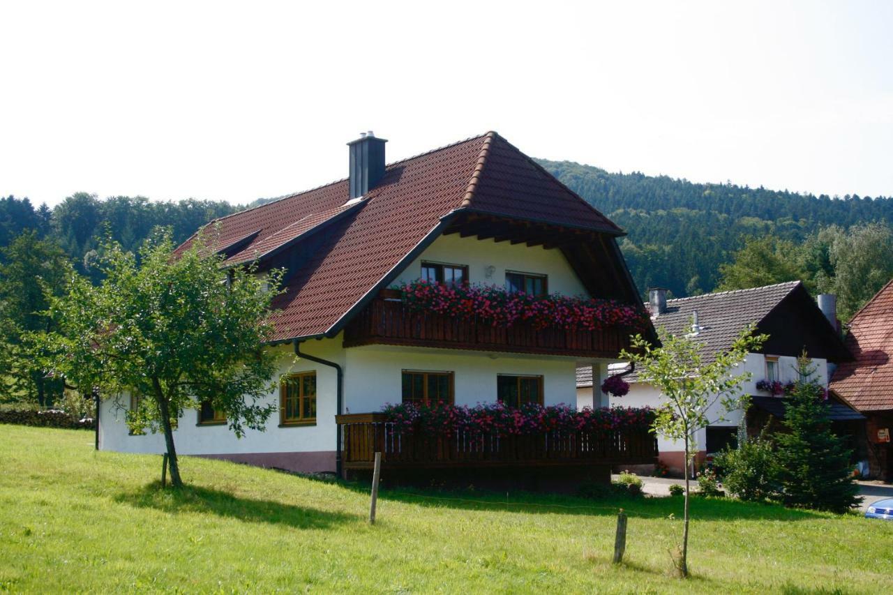 Ferienwohnung Seelbach  Kültér fotó