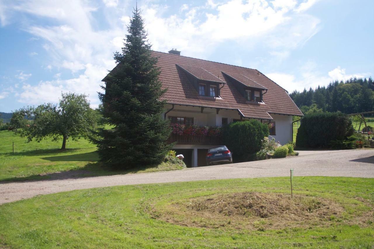 Ferienwohnung Seelbach  Kültér fotó